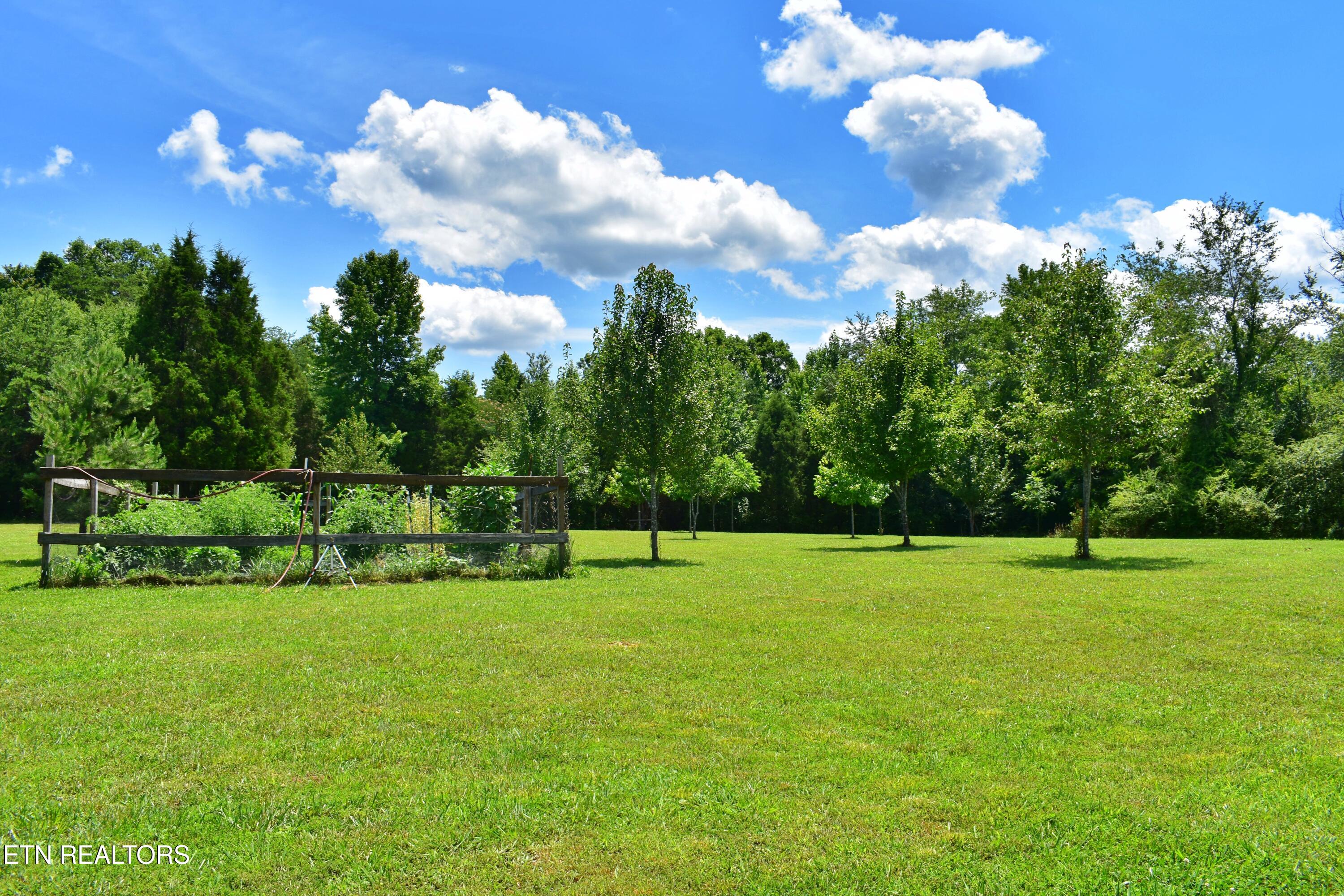 5858 Wolf Creek Road Spring City TN 37381