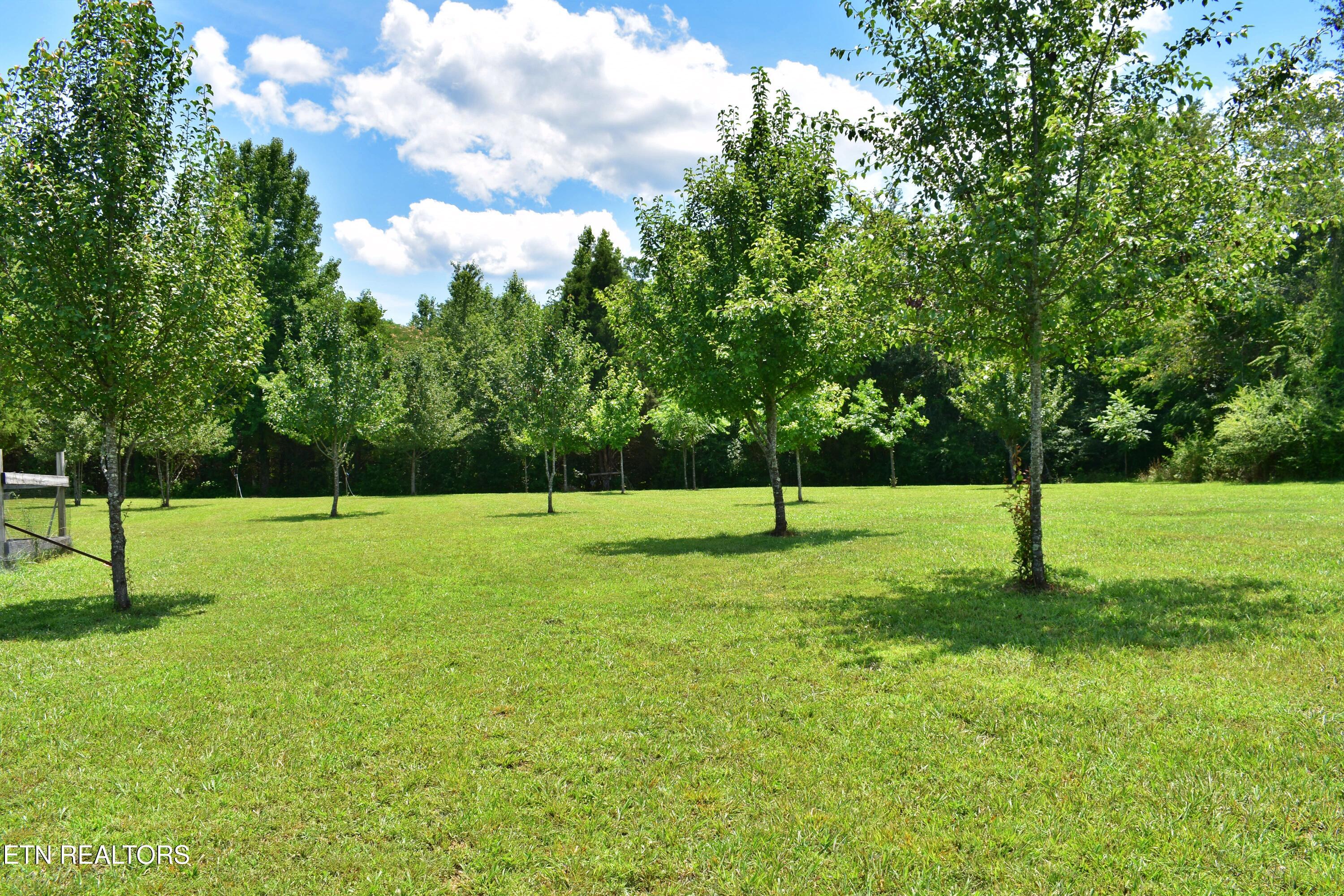 5858 Wolf Creek Road Spring City TN 37381