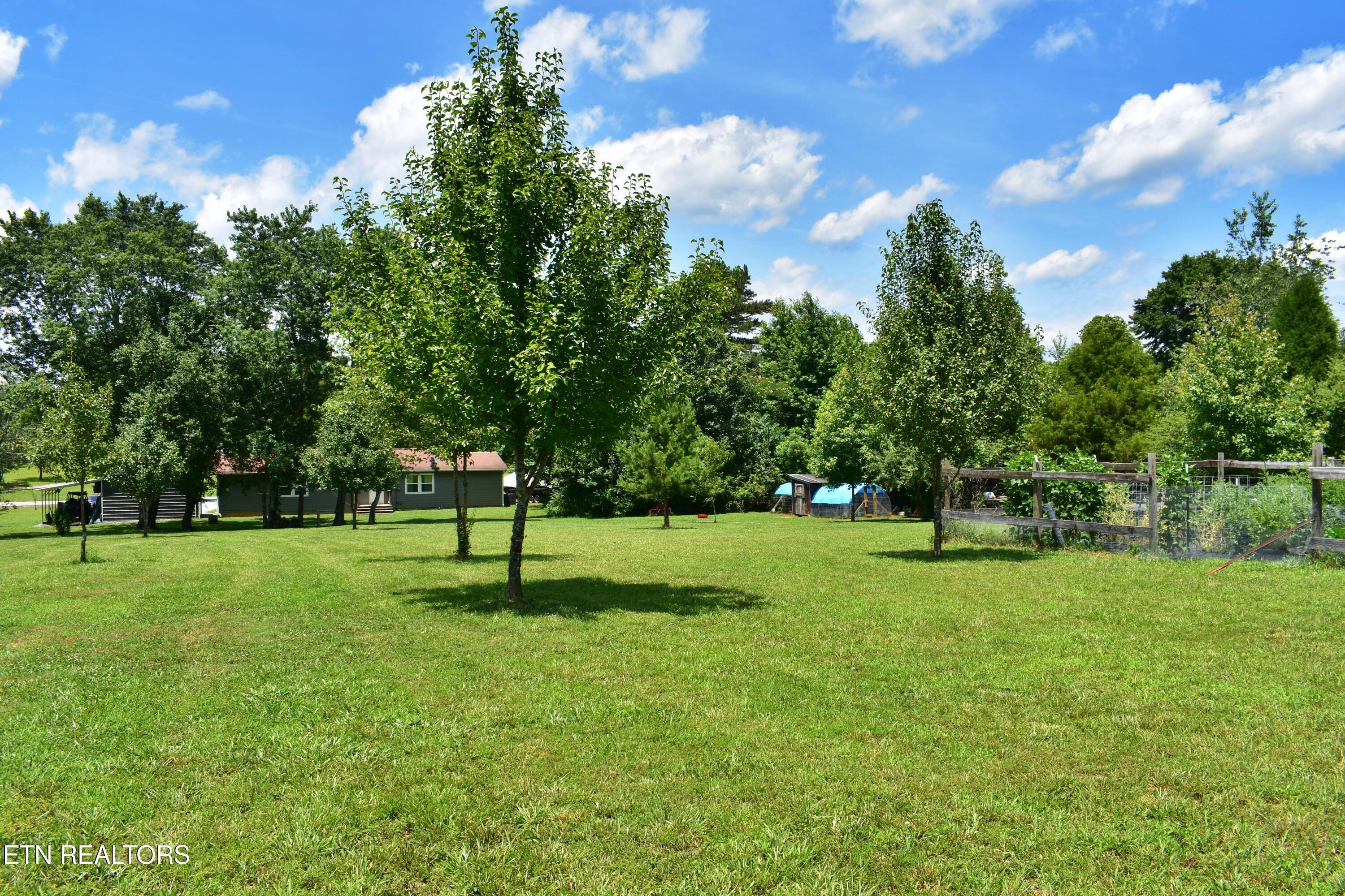 5858 Wolf Creek Road Spring City TN 37381