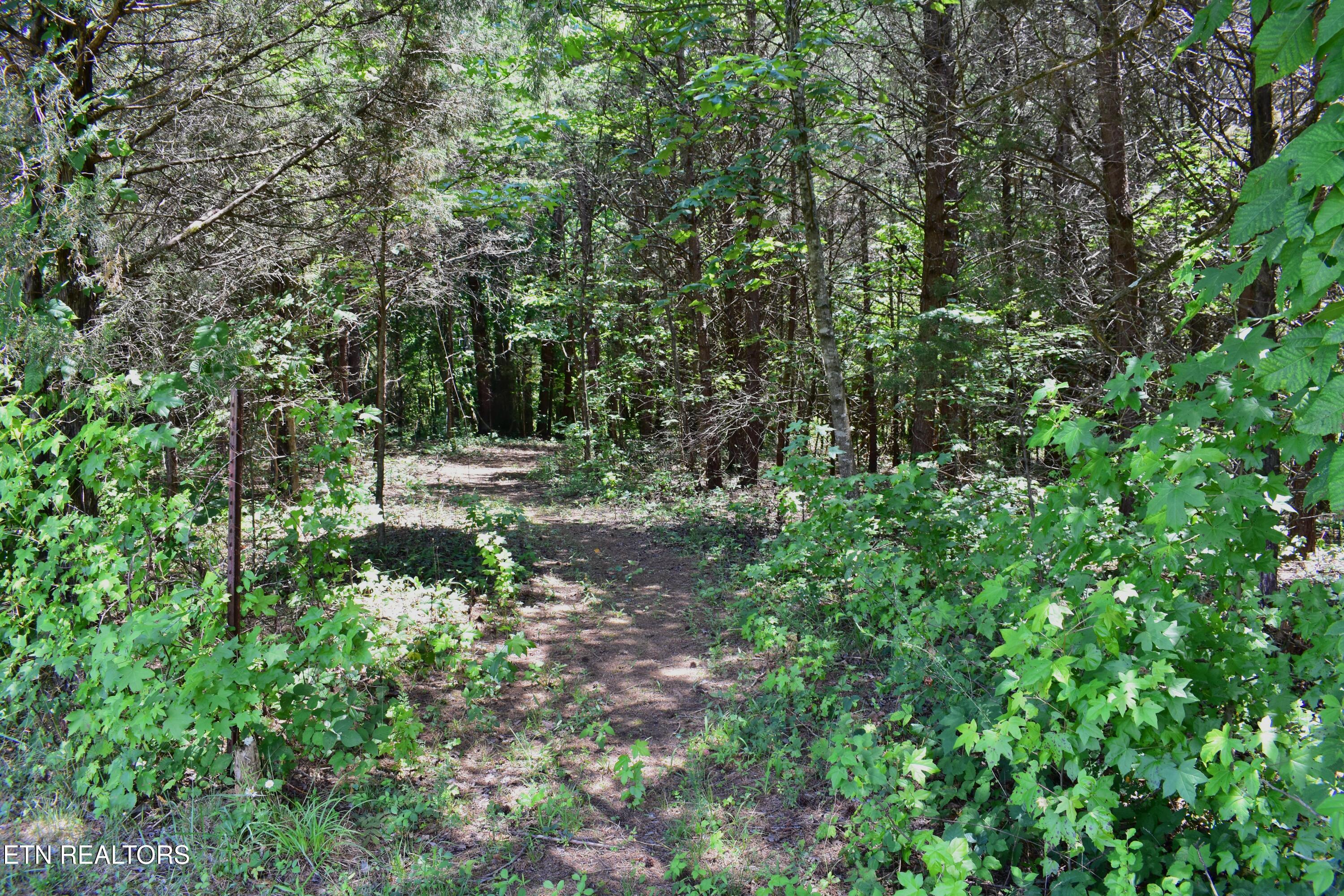 5858 Wolf Creek Road Spring City TN 37381