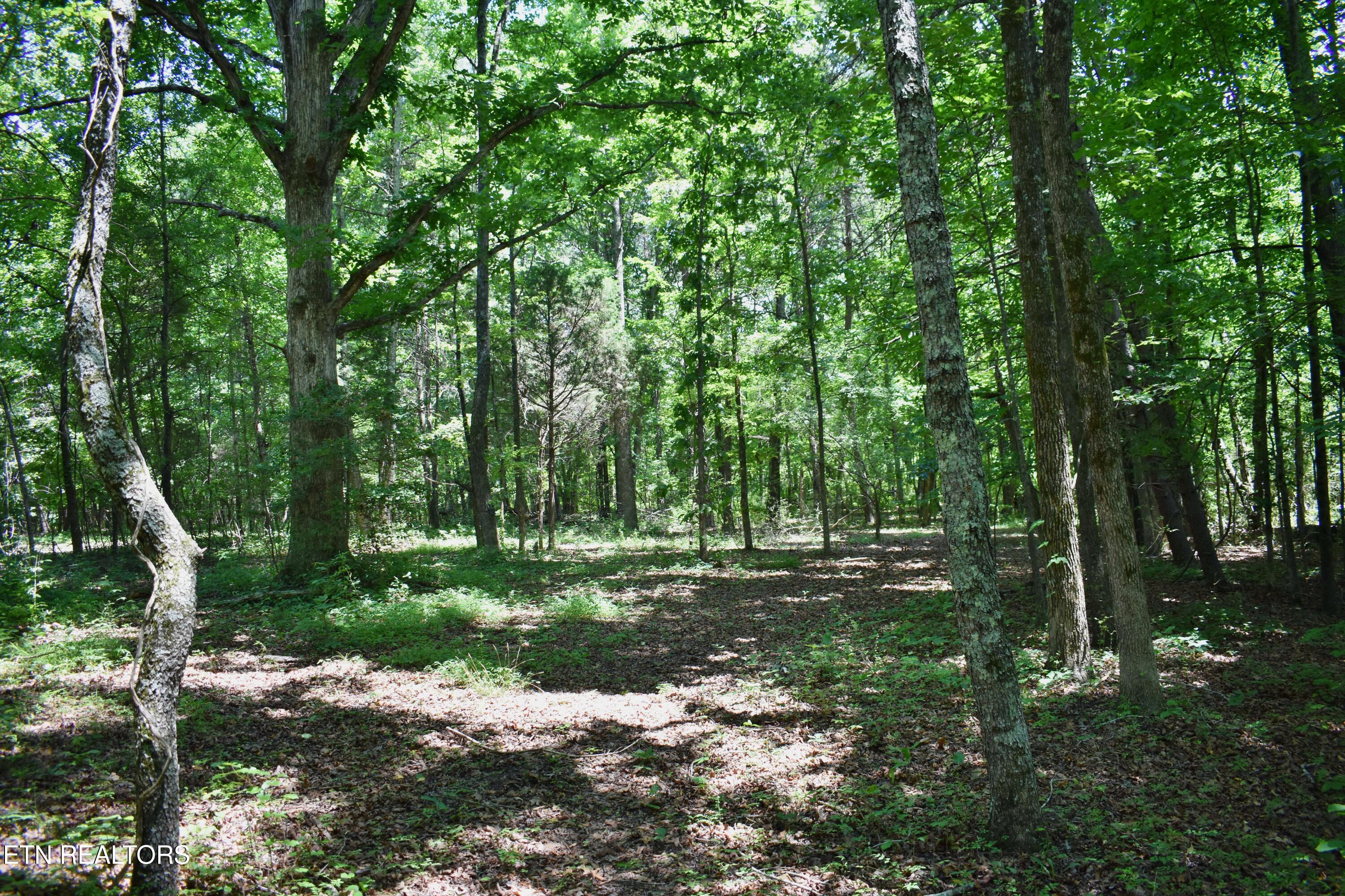 5858 Wolf Creek Road Spring City TN 37381