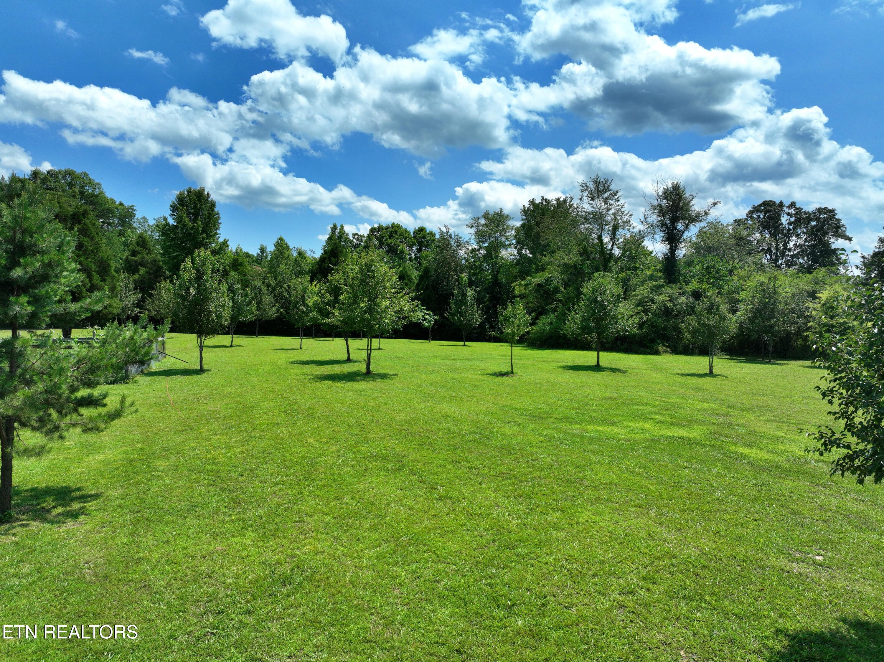 5858 Wolf Creek Road Spring City TN 37381