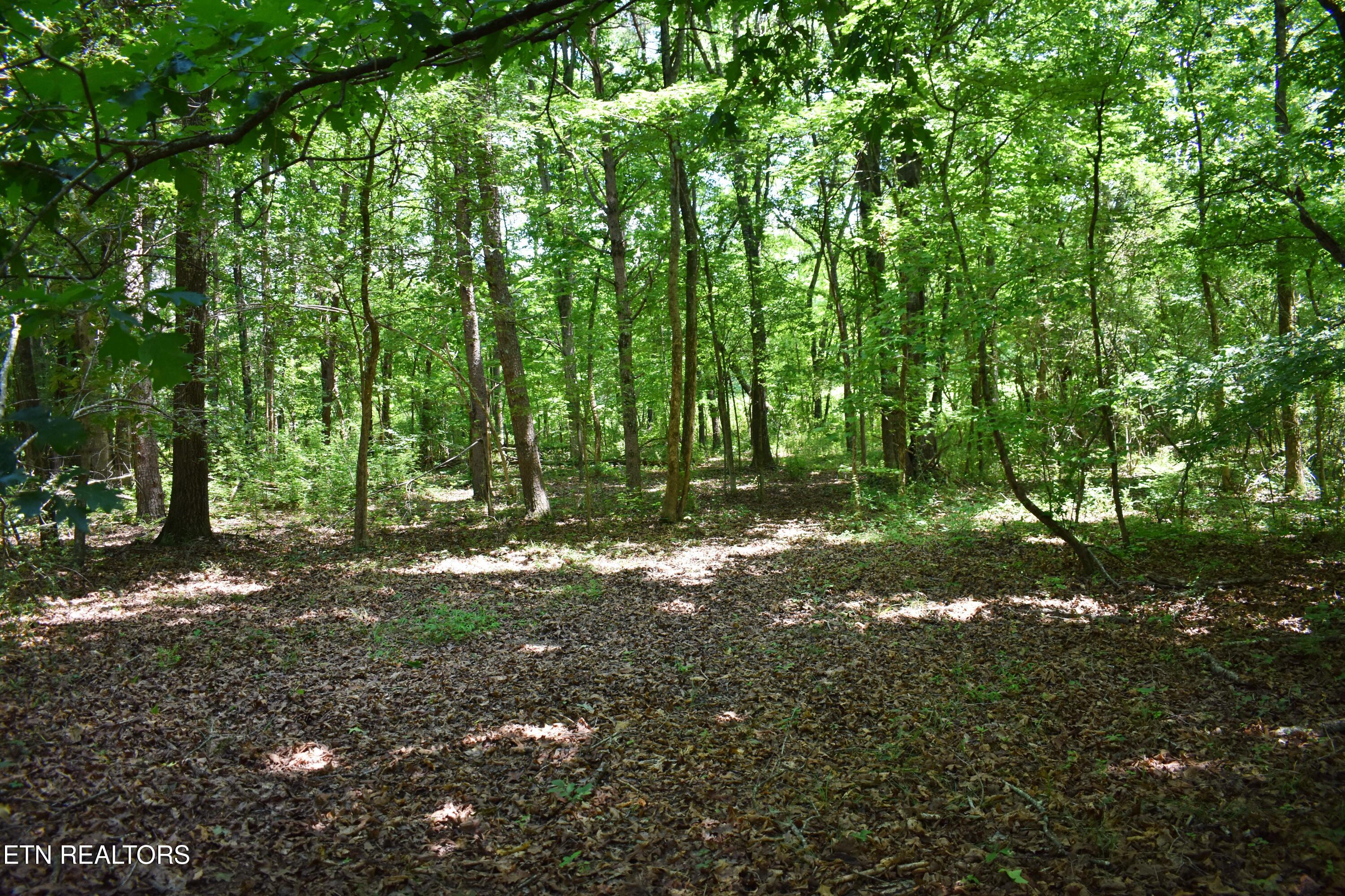5858 Wolf Creek Road Spring City TN 37381