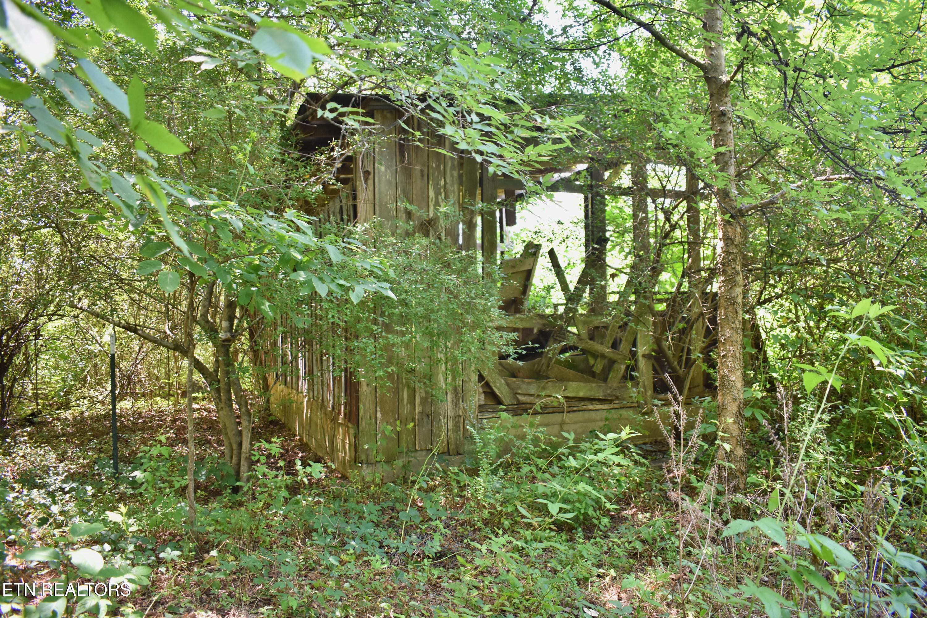 5858 Wolf Creek Road Spring City TN 37381