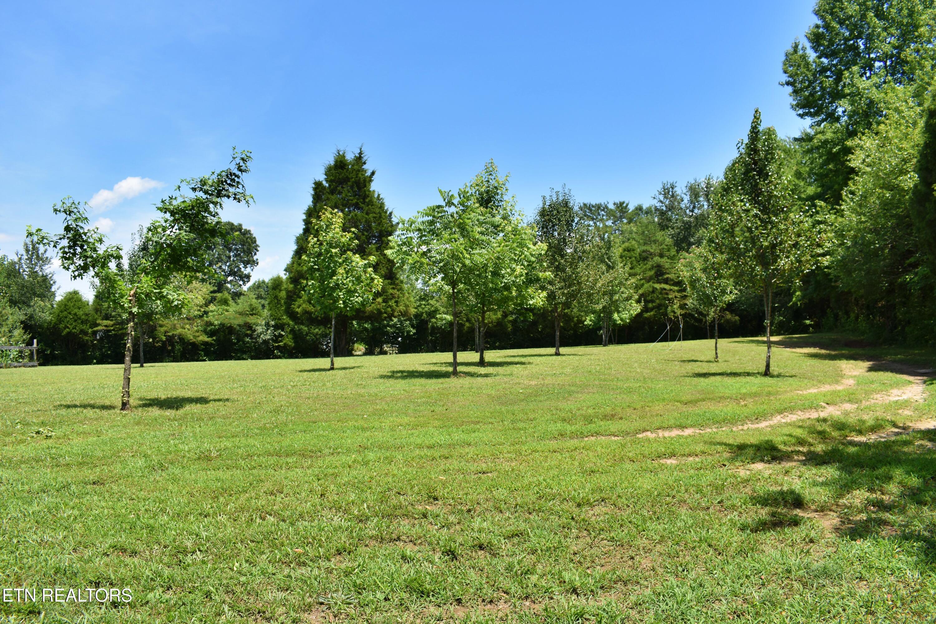 5858 Wolf Creek Road Spring City TN 37381