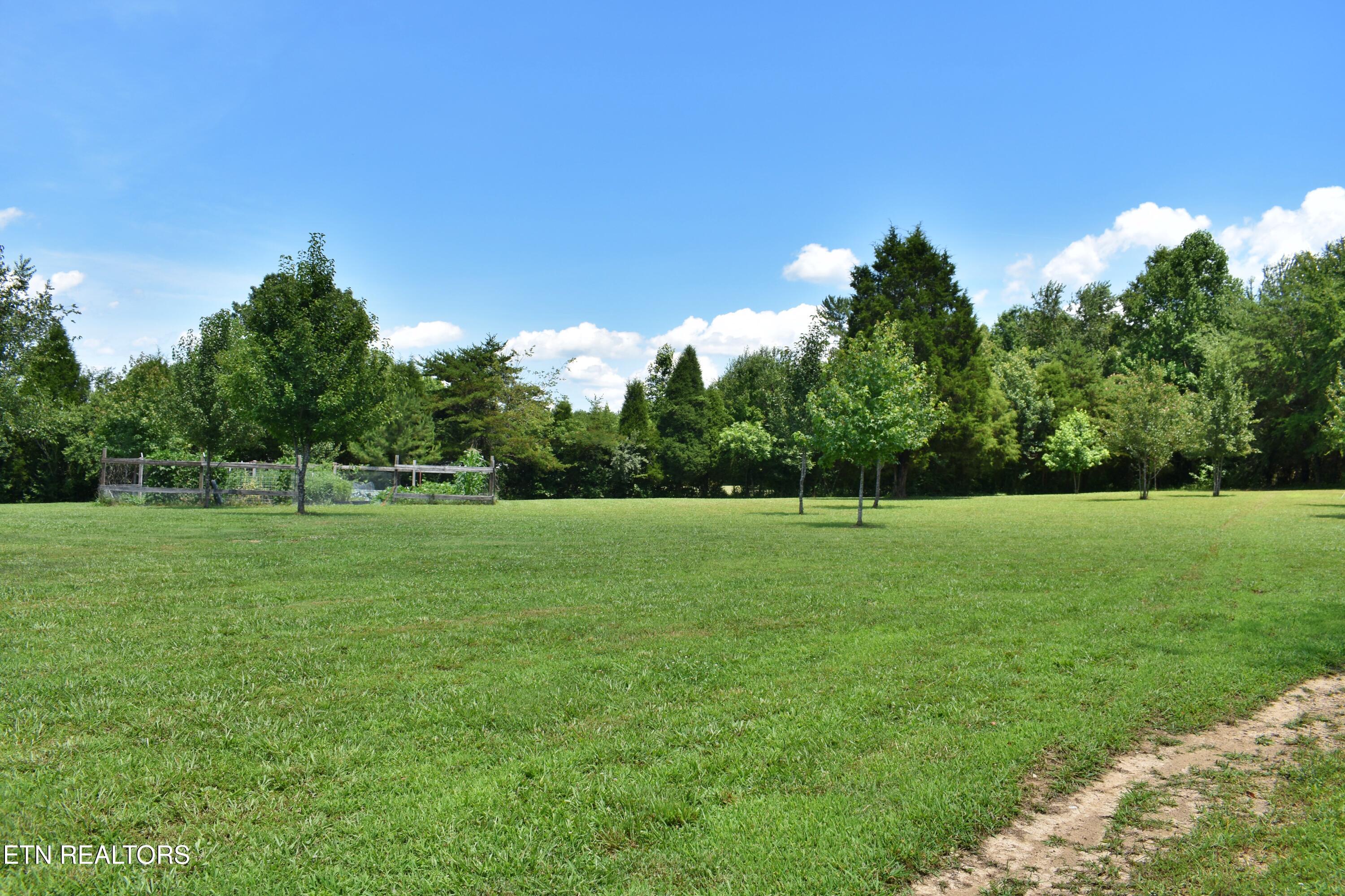 5858 Wolf Creek Road Spring City TN 37381