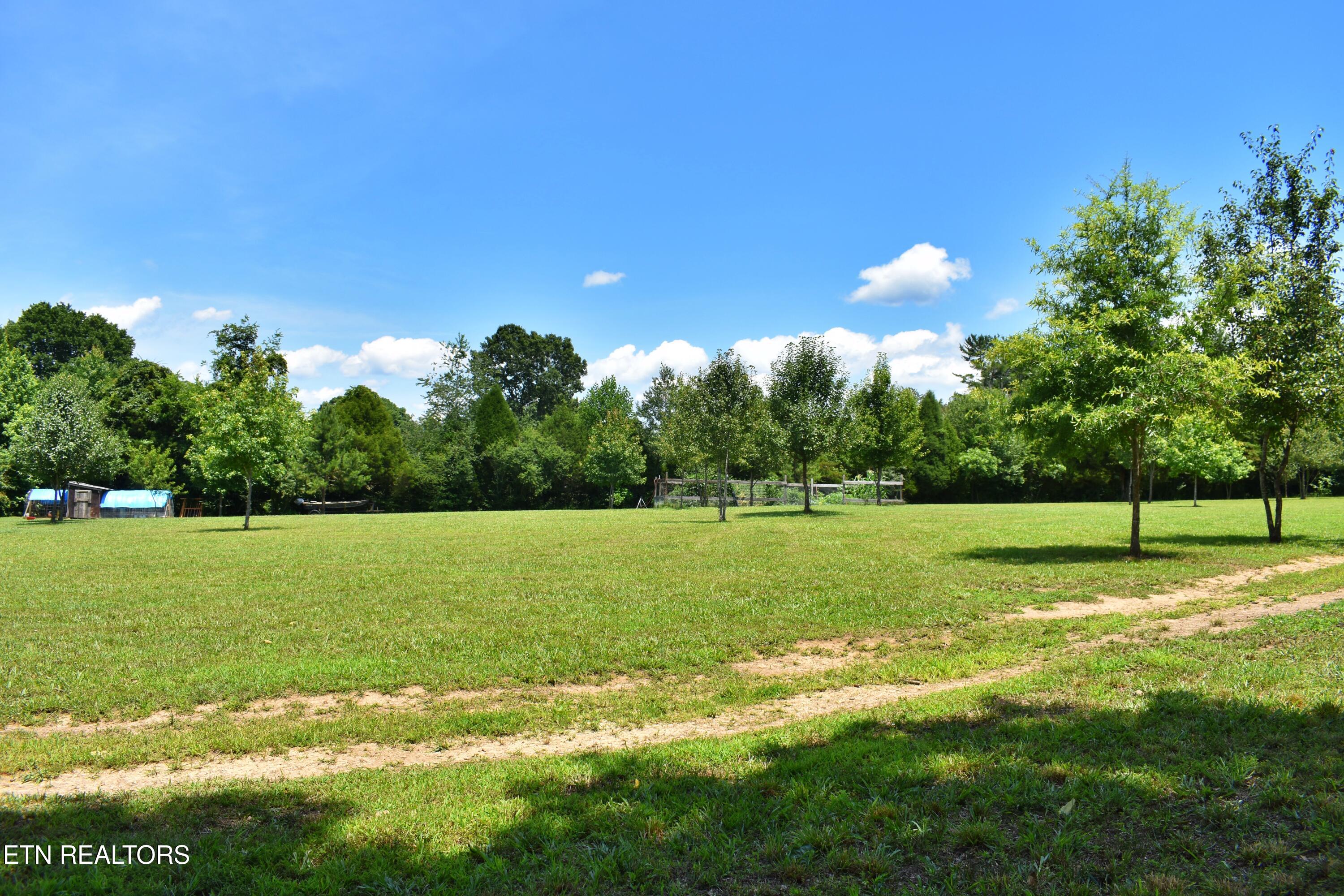 5858 Wolf Creek Road Spring City TN 37381