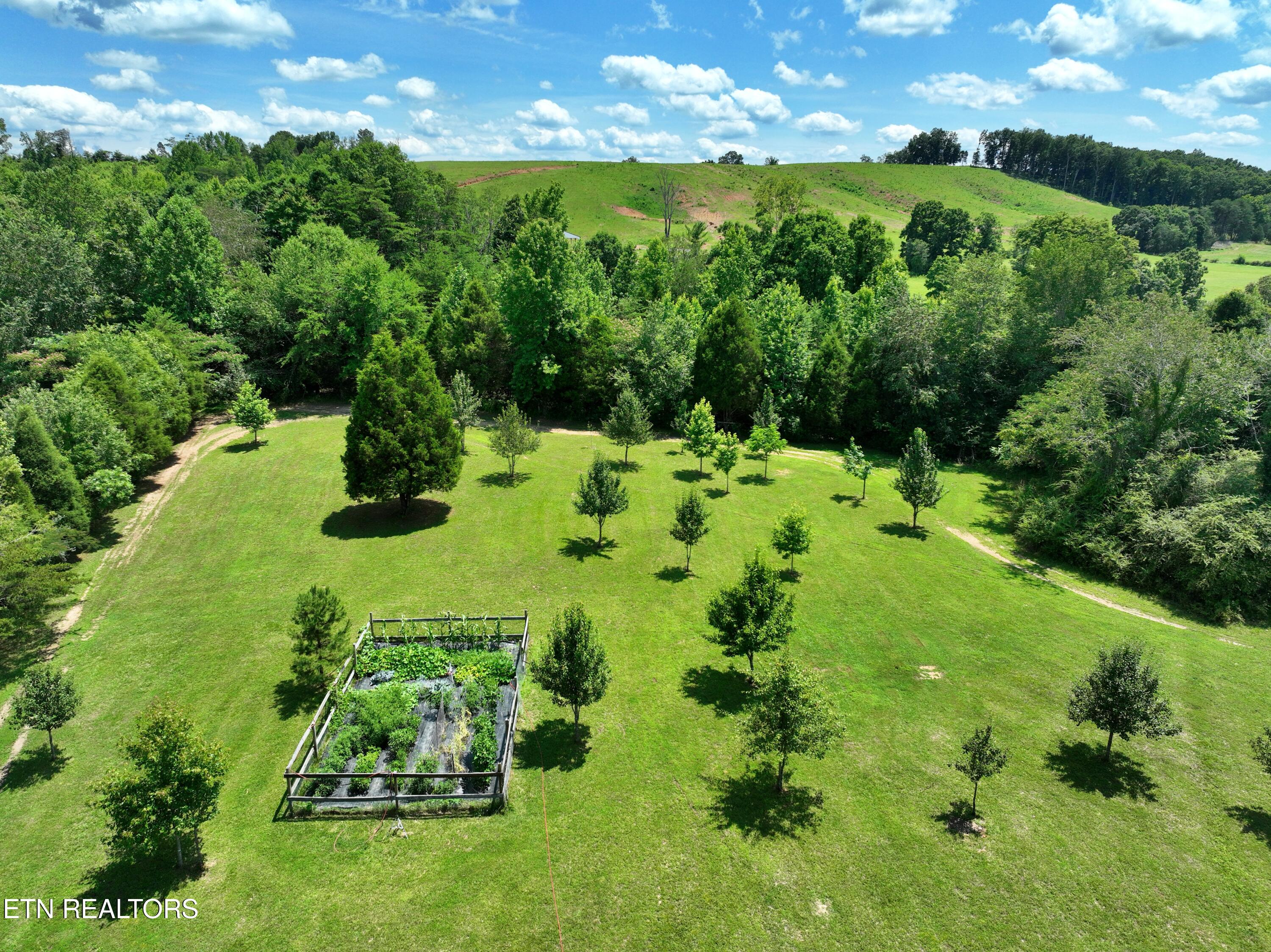 5858 Wolf Creek Road Spring City TN 37381