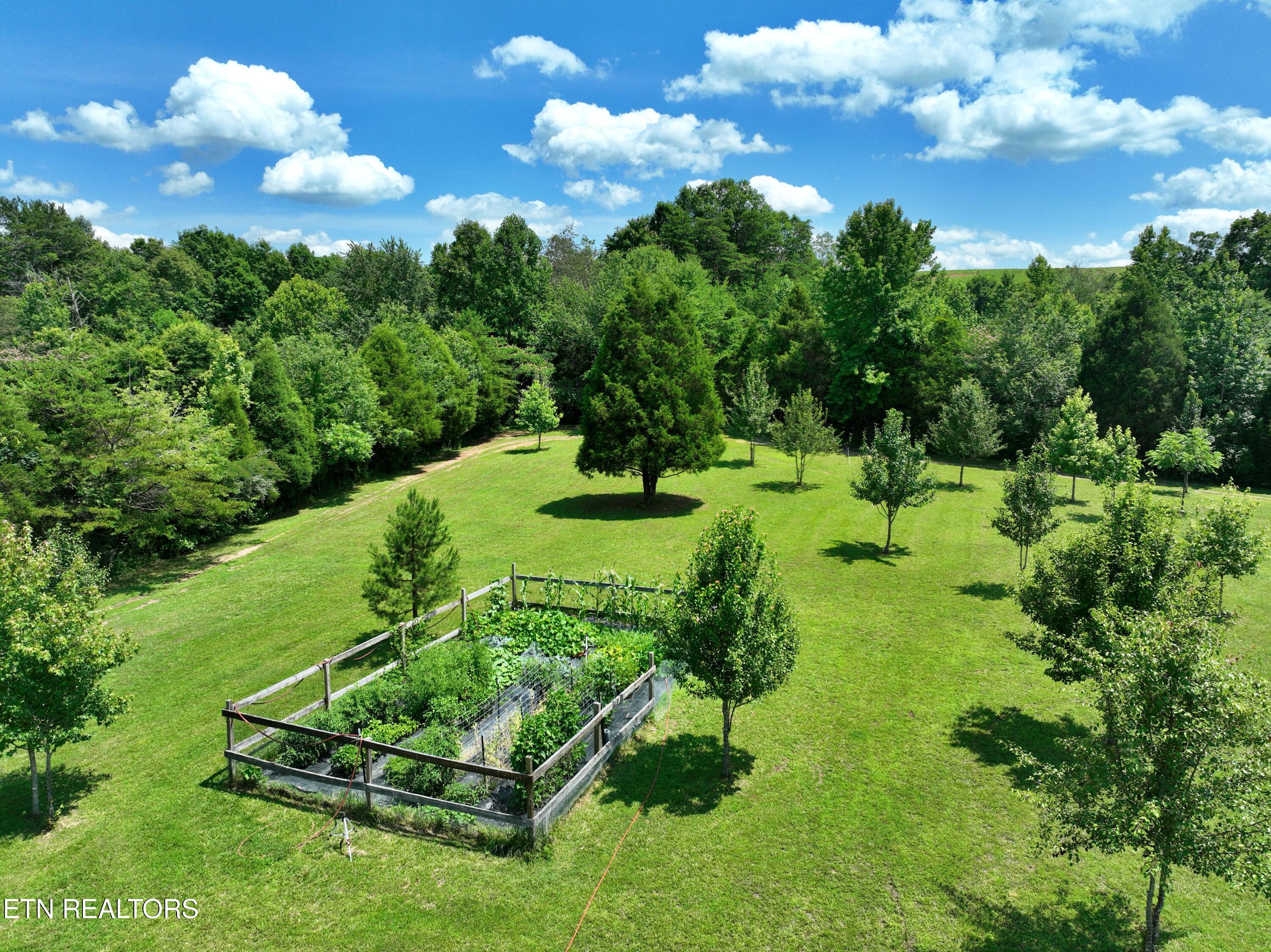 5858 Wolf Creek Road Spring City TN 37381