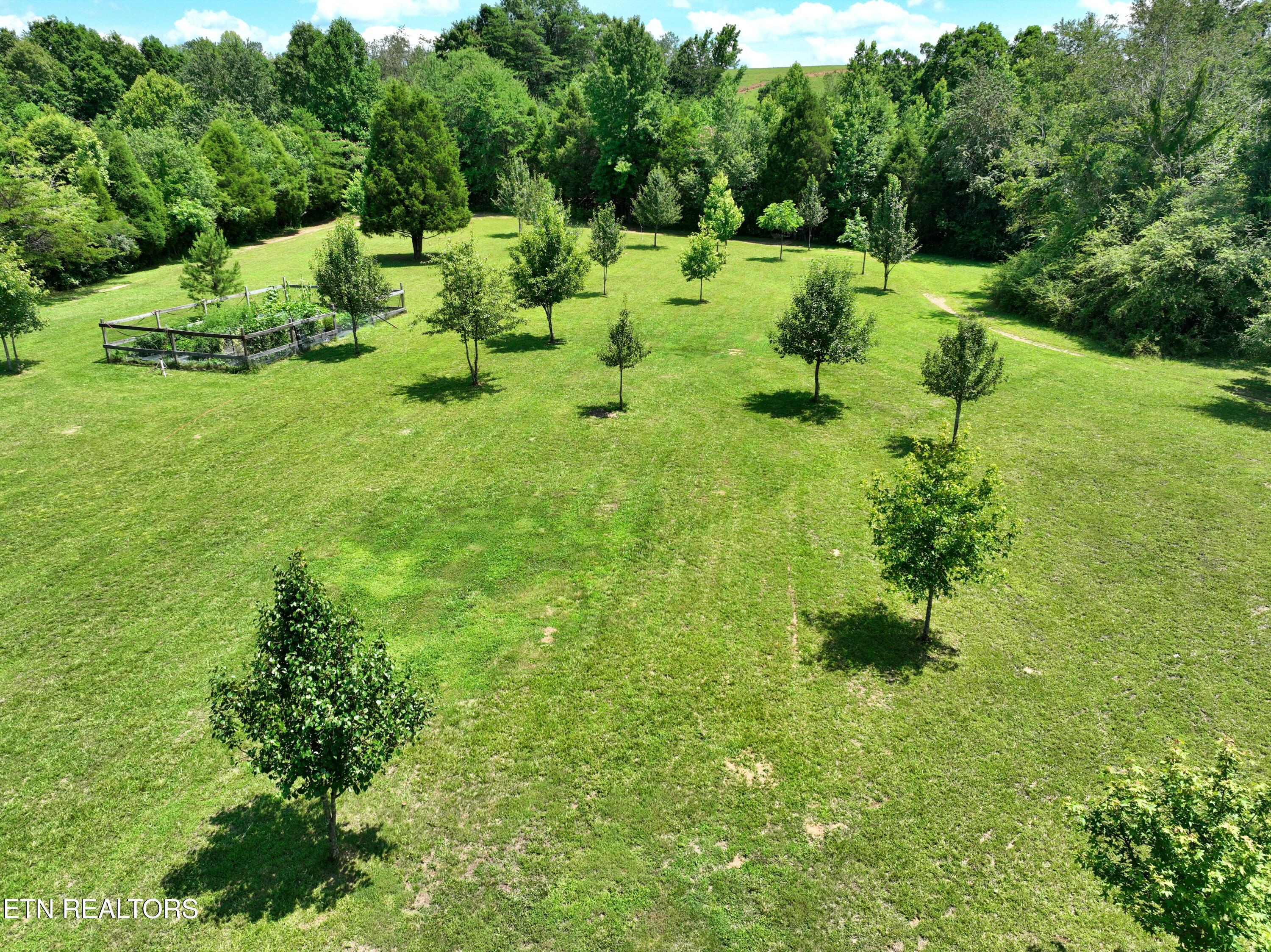 5858 Wolf Creek Road Spring City TN 37381