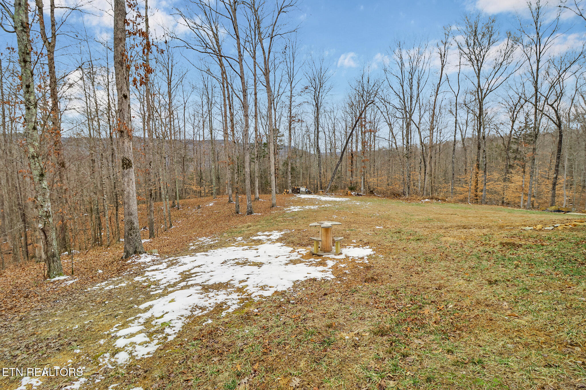 68 Buffalo Cove Lane Jamestown TN 38556