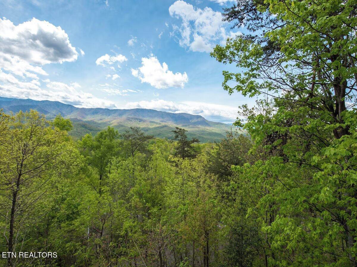 922 Scenic Trail Gatlinburg TN 37738