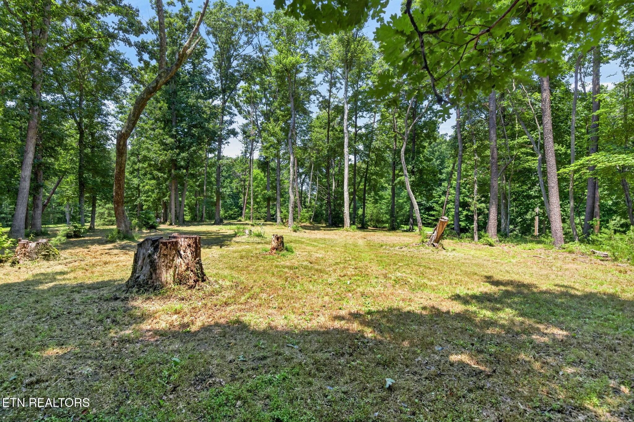 35 Ridge View Lane Spencer TN 38585