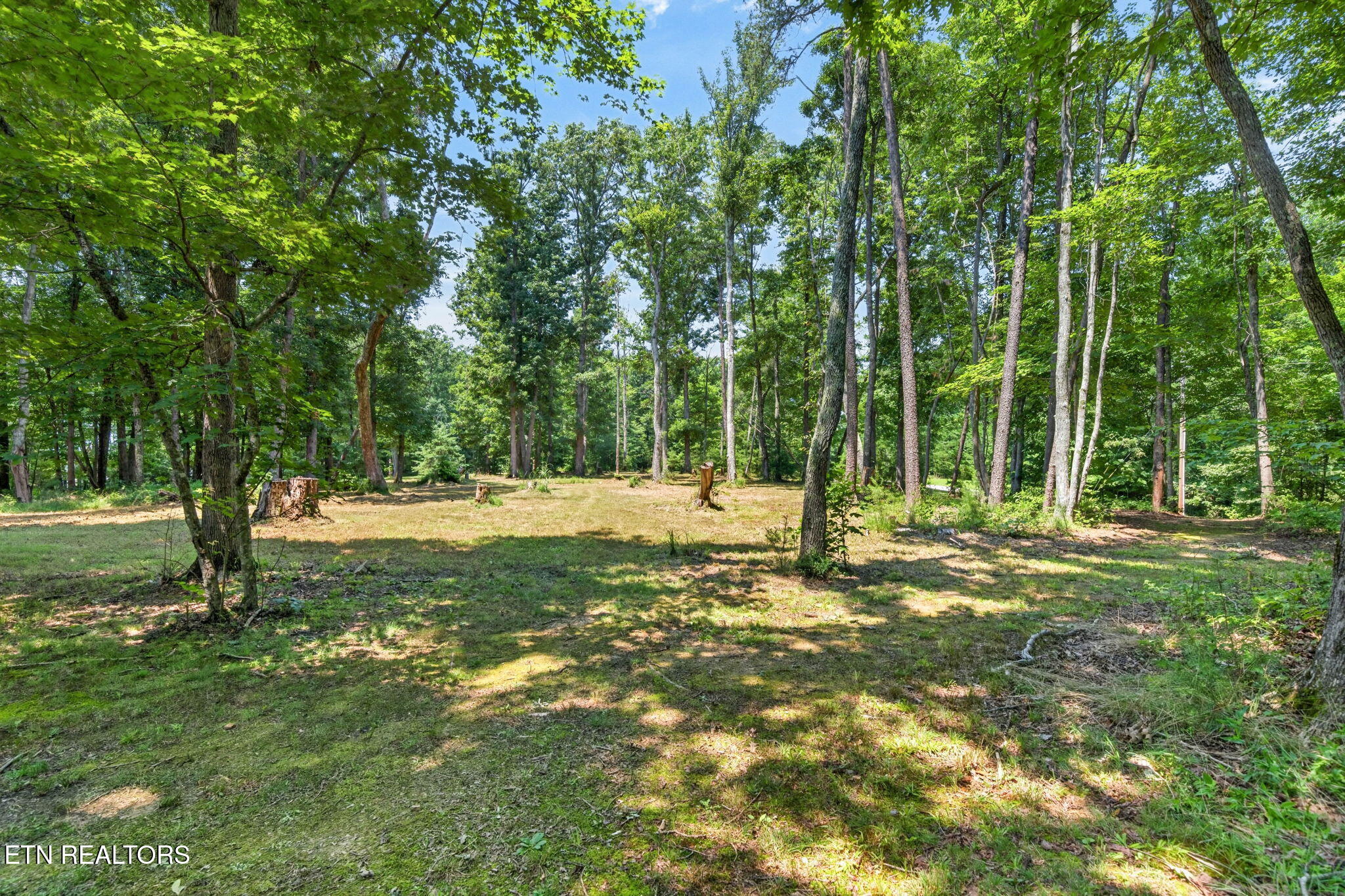 35 Ridge View Lane Spencer TN 38585