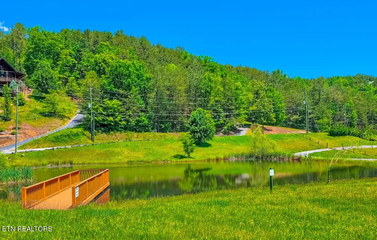 2539 Raccoon Hollow Way Sevierville TN 37862