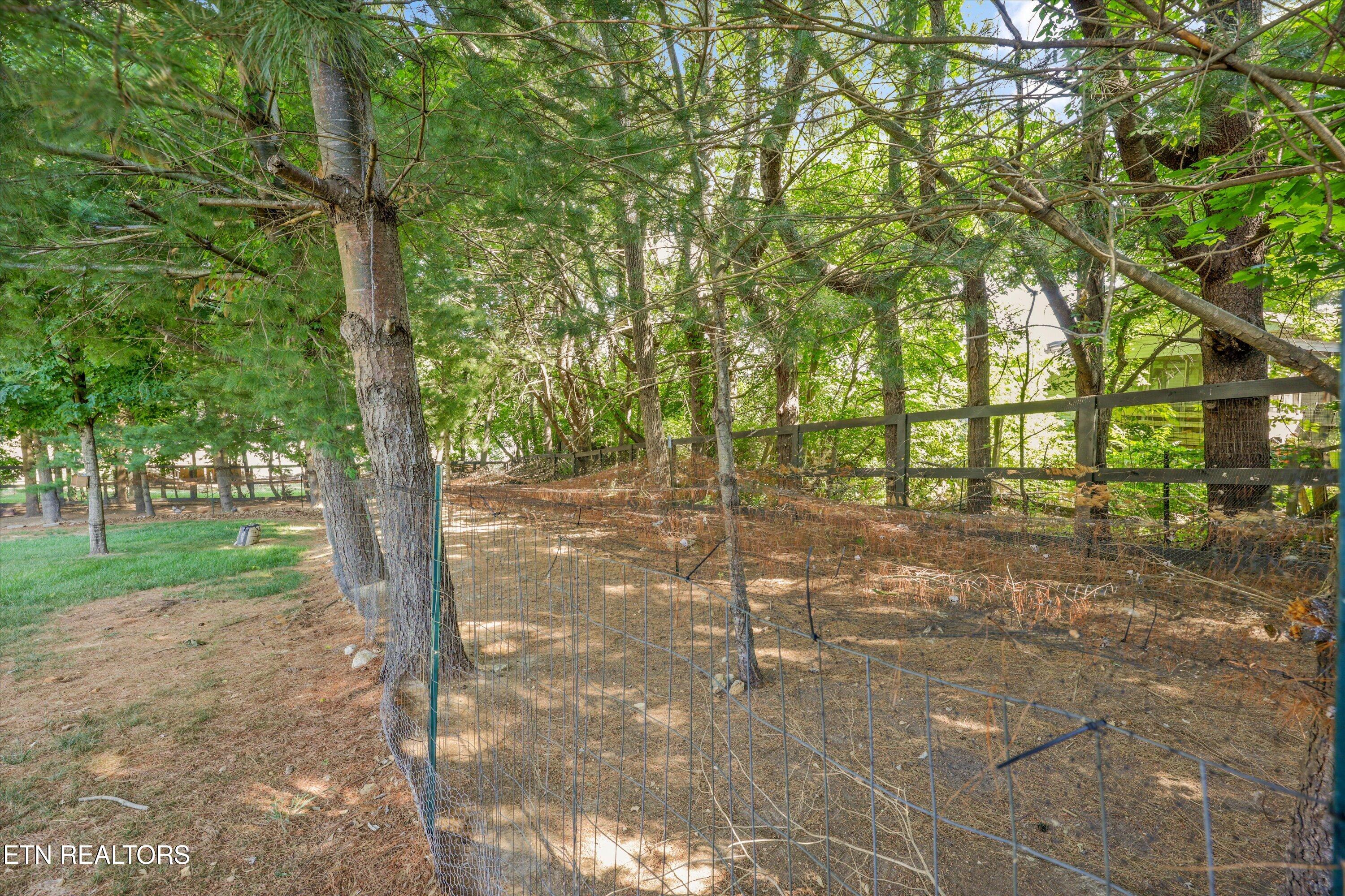 7740 Tressa Circle Powell TN 37849