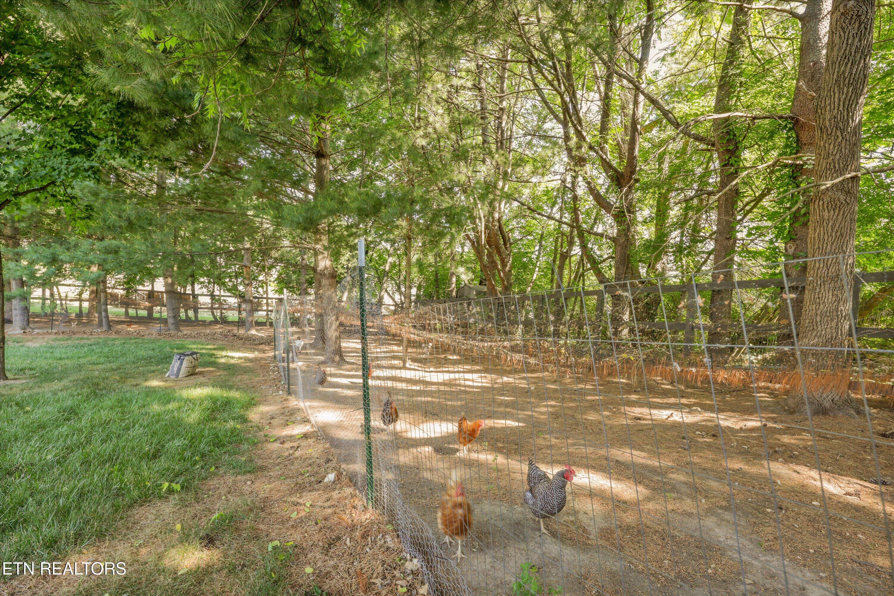 7740 Tressa Circle Powell TN 37849