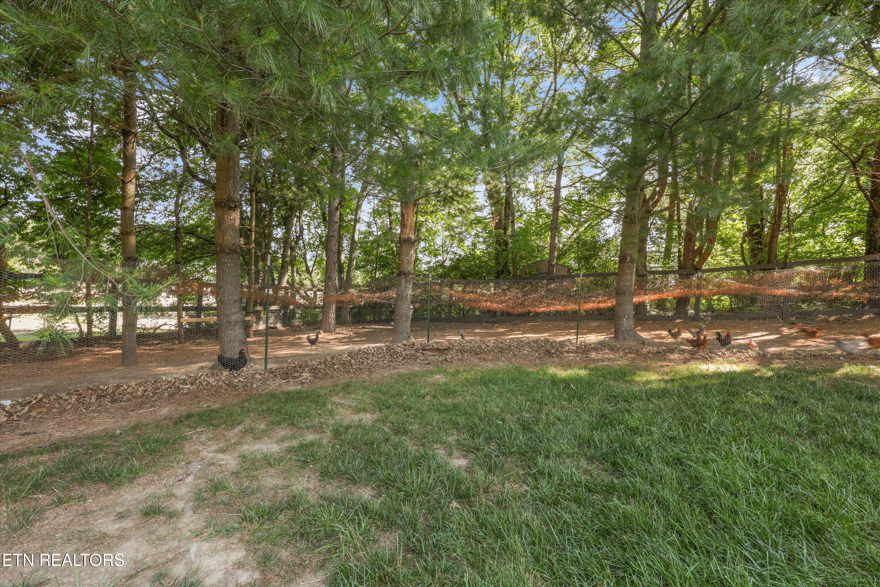 7740 Tressa Circle Powell TN 37849