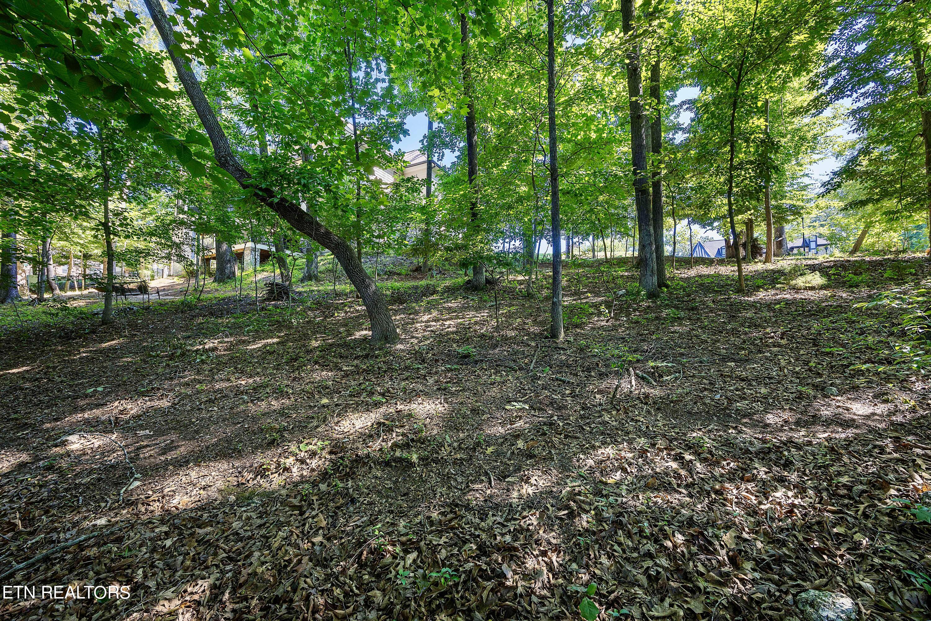 2131 Viewcrest Lane Knoxville TN 37932