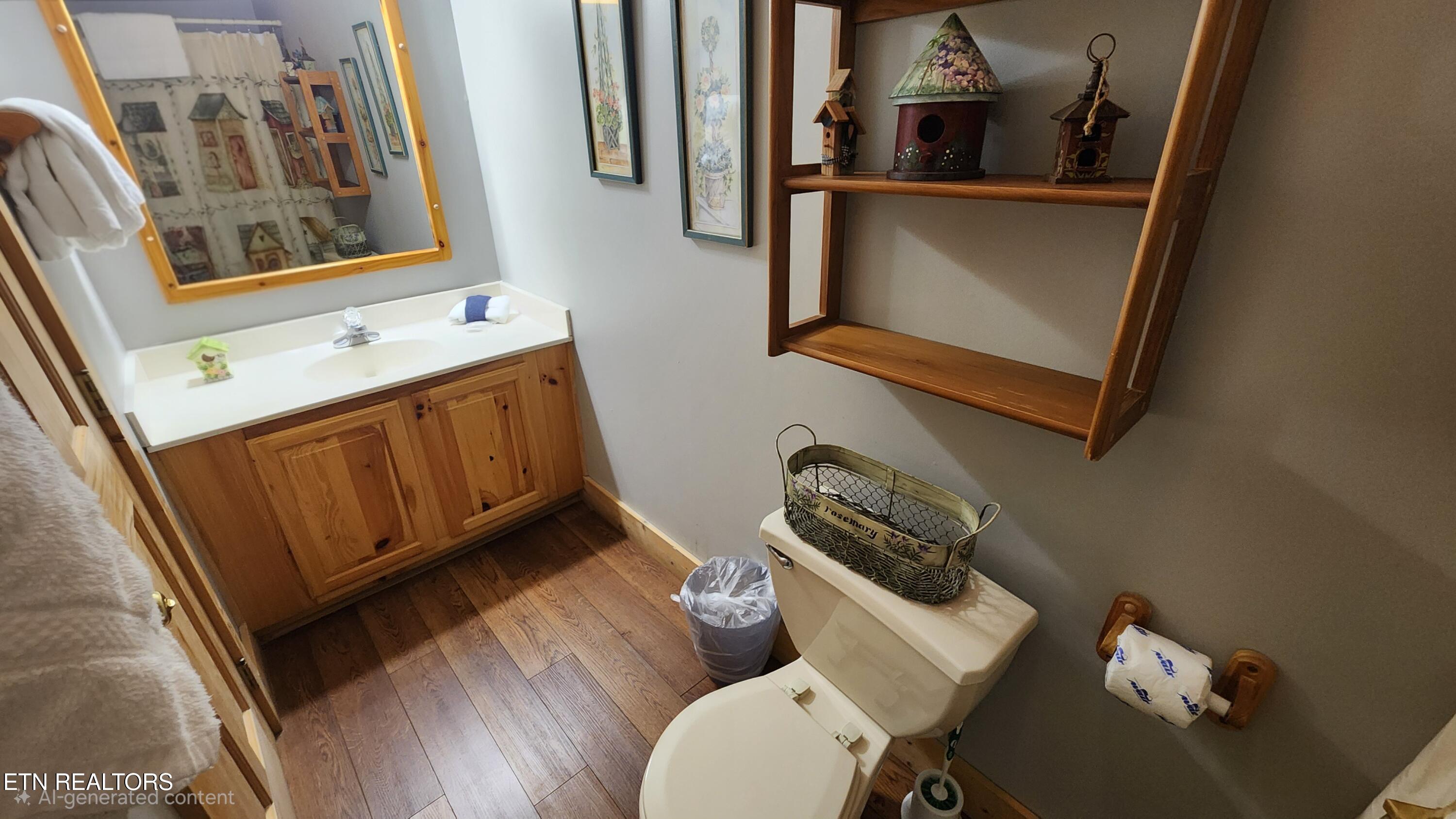 713 Golden Eagle Way Pigeon Forge TN 37863