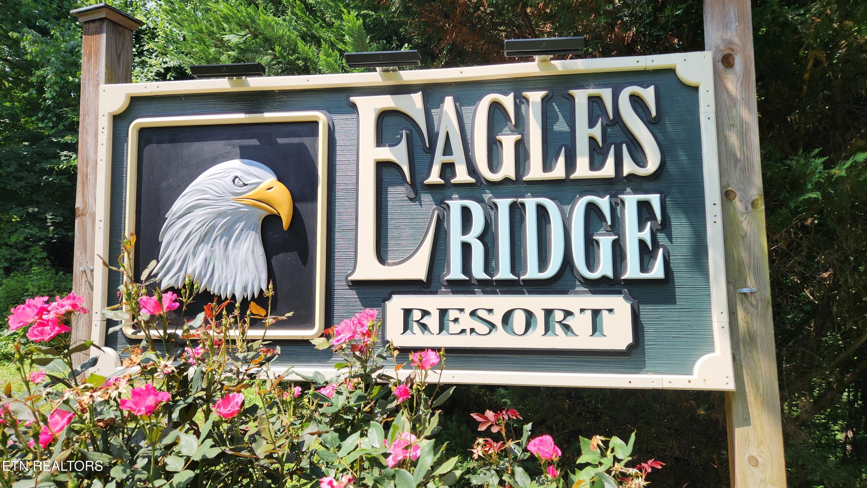 713 Golden Eagle Way Pigeon Forge TN 37863