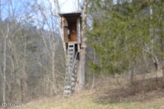 290 Hazel Huffines Lane Whitleyville TN 38588