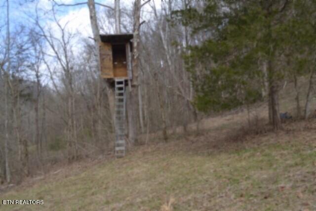 290 Hazel Huffines Lane Whitleyville TN 38588