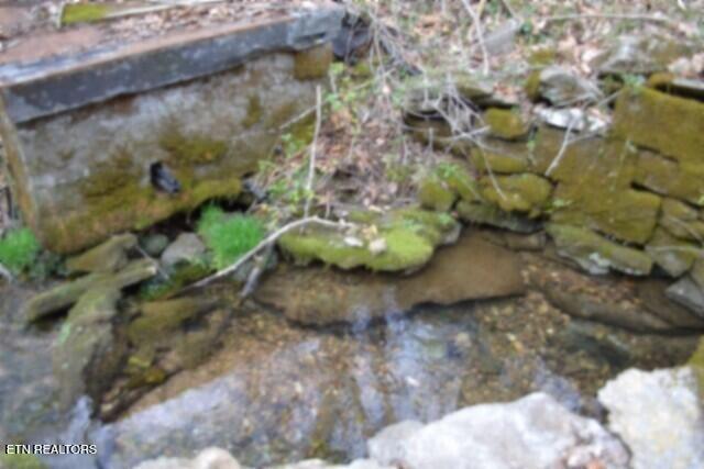 290 Hazel Huffines Lane Whitleyville TN 38588