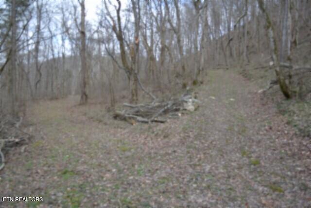 290 Hazel Huffines Lane Whitleyville TN 38588