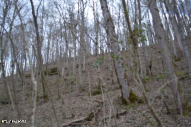 290 Hazel Huffines Lane Whitleyville TN 38588