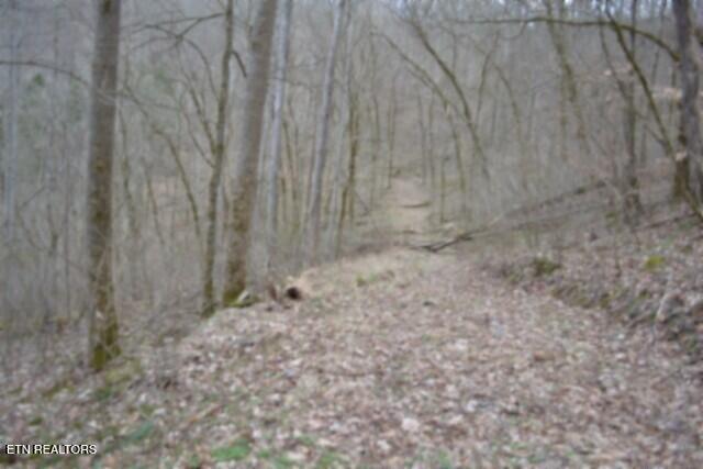 290 Hazel Huffines Lane Whitleyville TN 38588