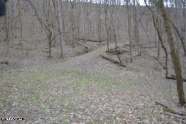 290 Hazel Huffines Lane Whitleyville TN 38588