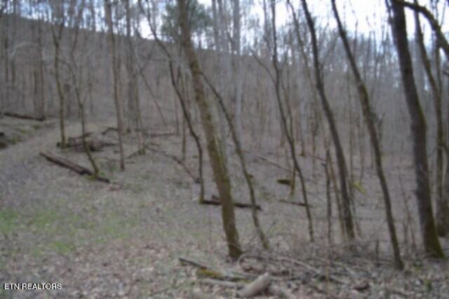 290 Hazel Huffines Lane Whitleyville TN 38588