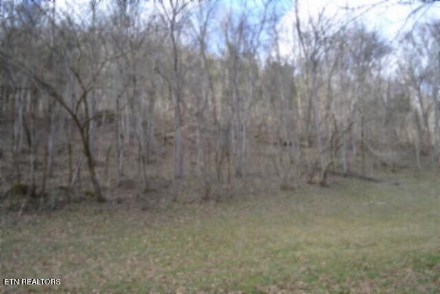 290 Hazel Huffines Lane Whitleyville TN 38588