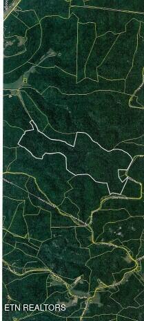 290 Hazel Huffines Lane Whitleyville TN 38588
