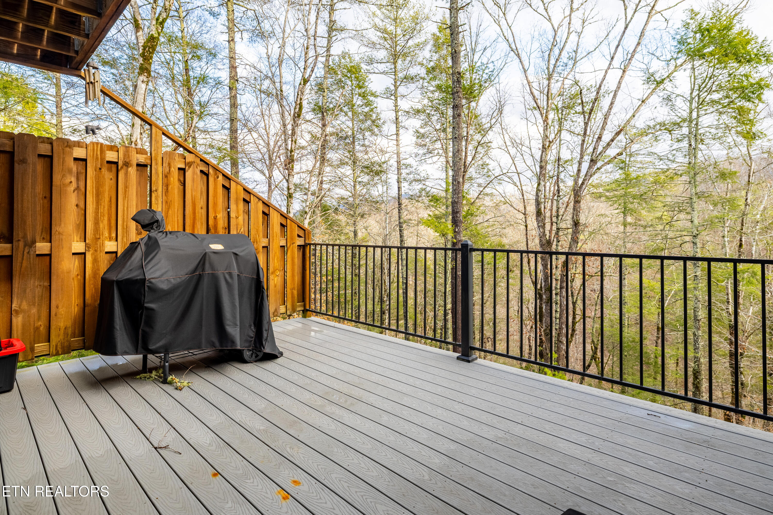 194 Cold Springs Trace Townsend TN 37882