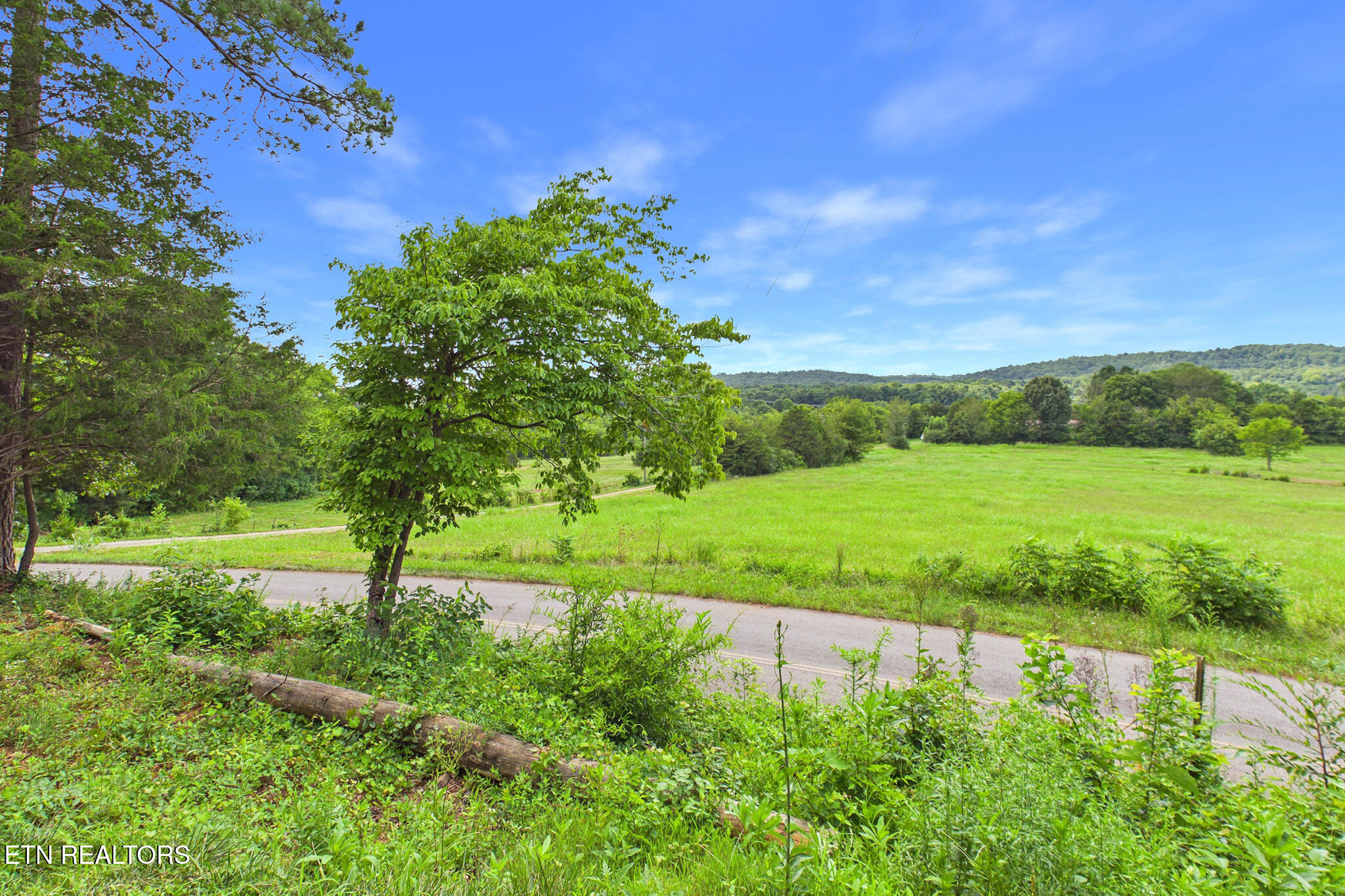 361 County Road 38 Riceville TN 37370