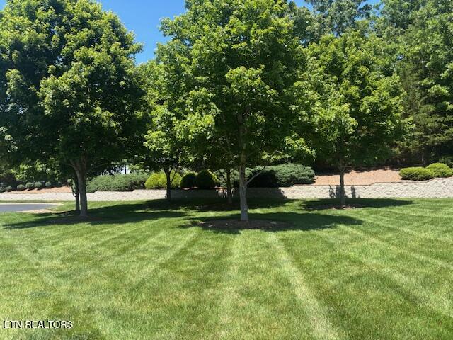 14 Heatherhurst Court Crossville TN 38558