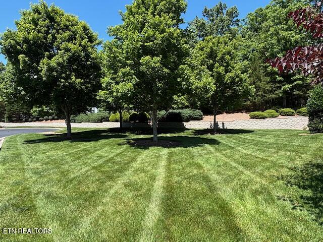 14 Heatherhurst Court Crossville TN 38558