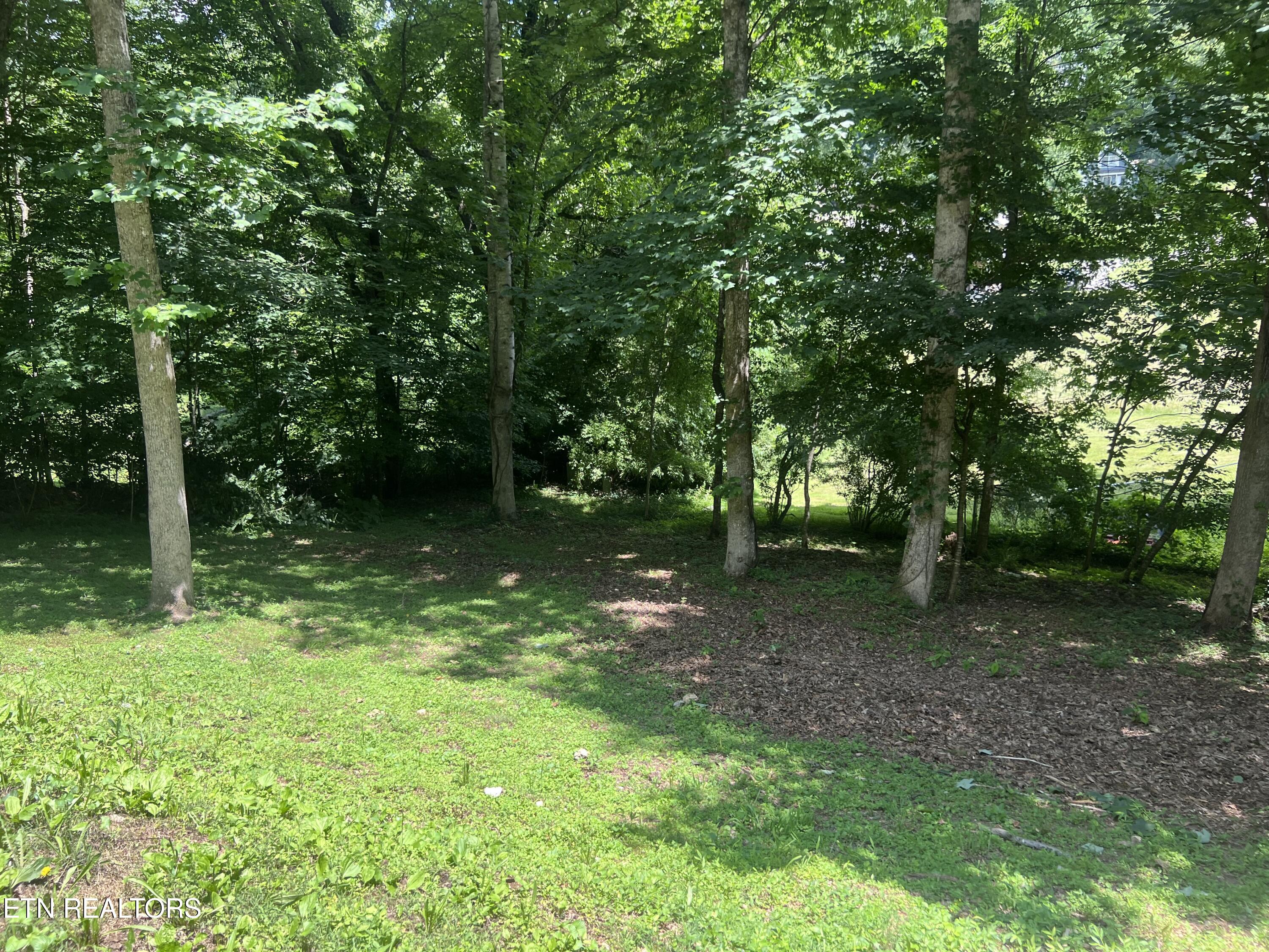 126 Lincoln Court Harrogate TN 37752