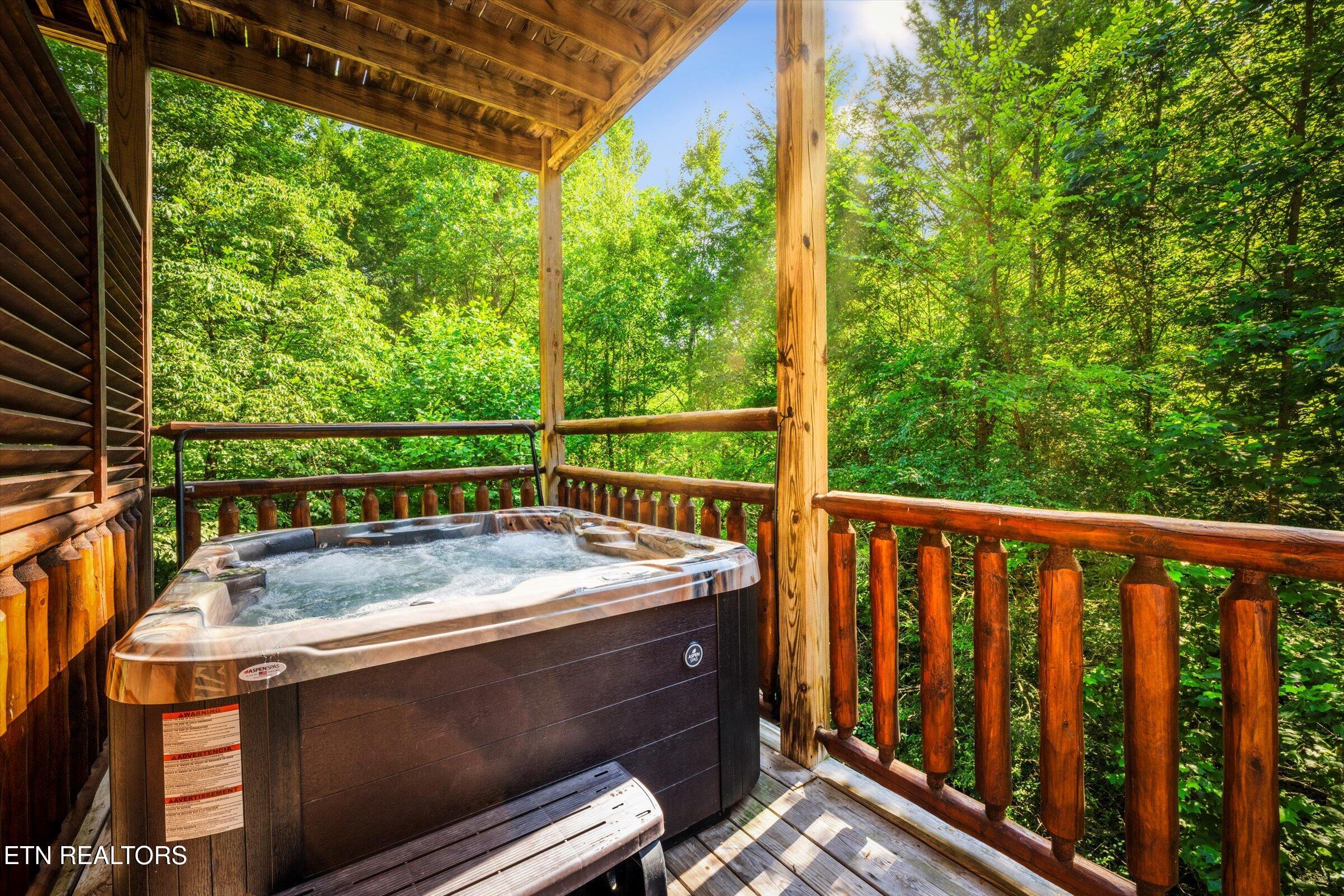 1570 Oldham Springs Way Sevierville TN 37876