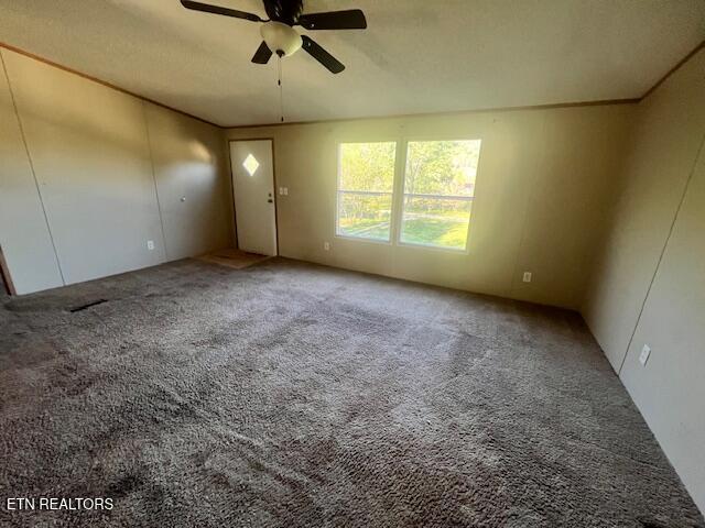 155 Carey Road Speedwell TN 37870