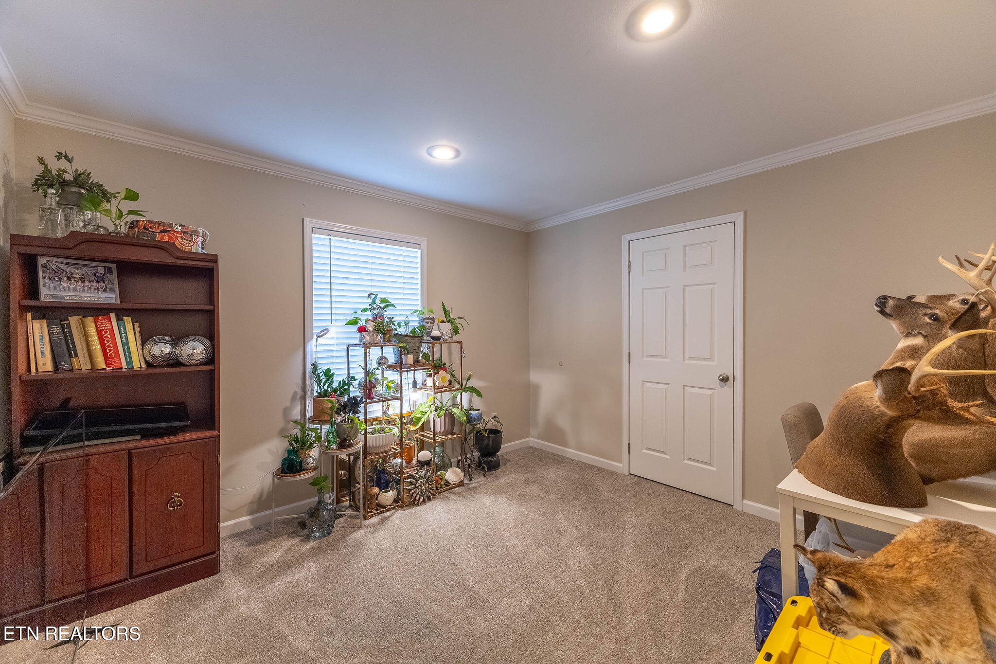 439 Zachary Road Blaine TN 37709