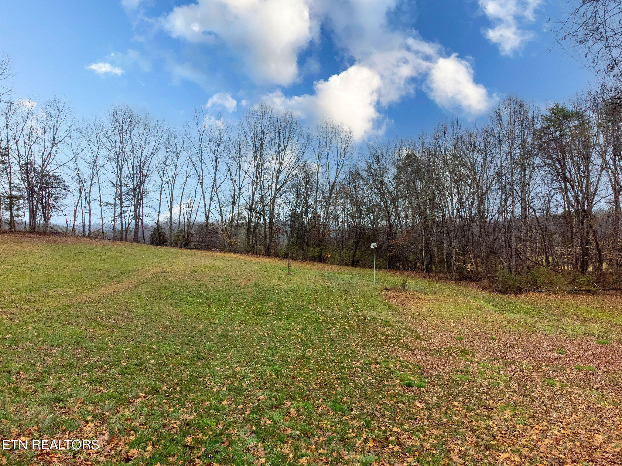 439 Zachary Road Blaine TN 37709