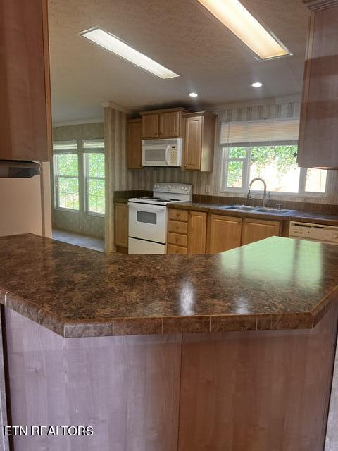 134 Hollow Lane Caryville TN 37714