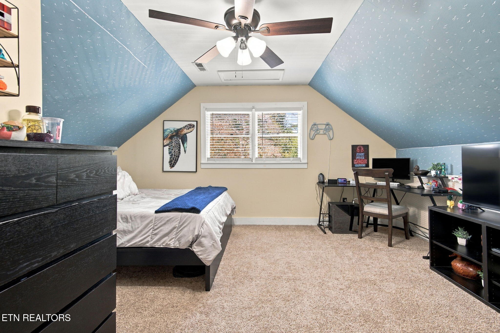 230 Johnson Lane Rocky Top TN 37769