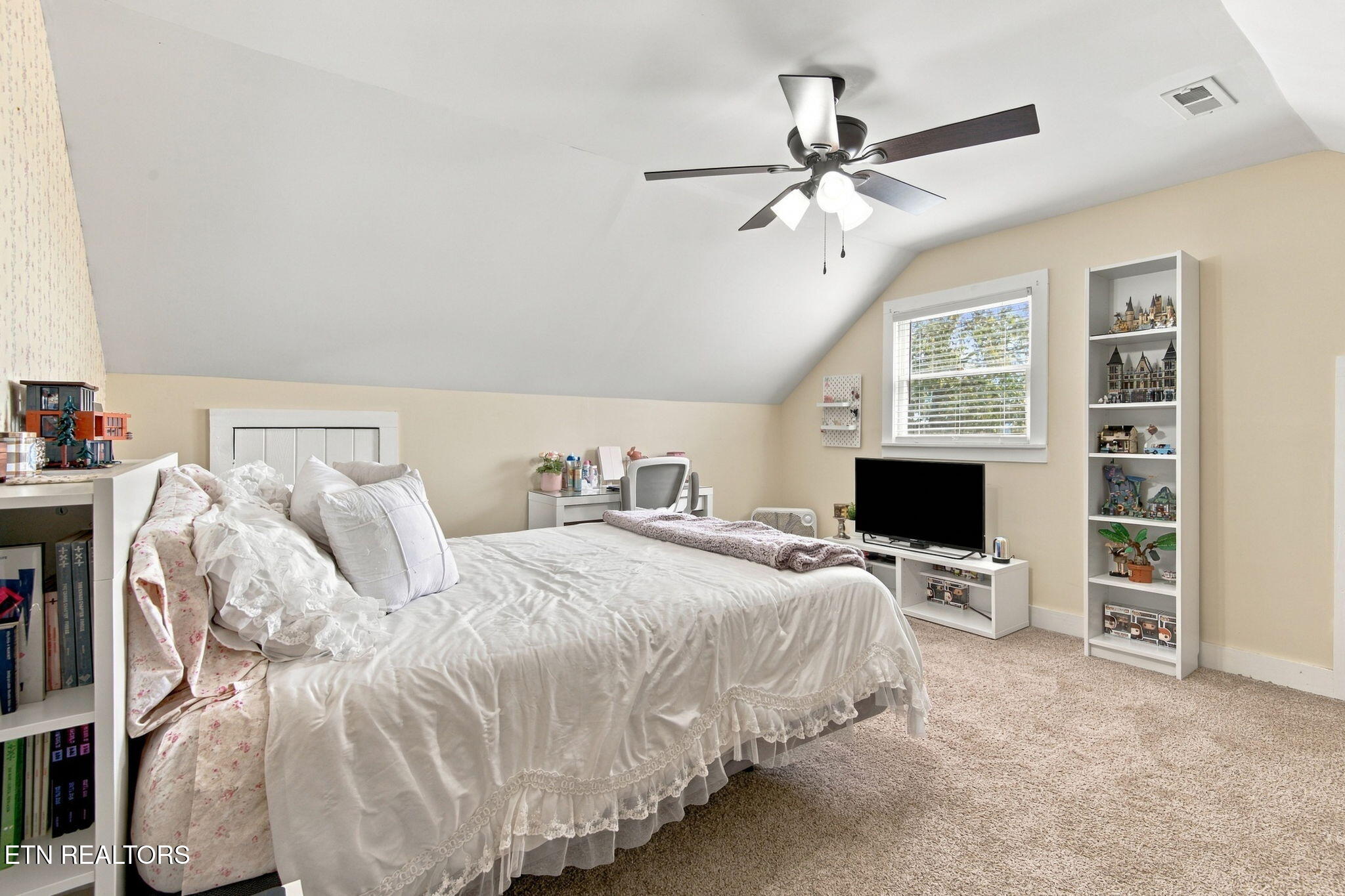 230 Johnson Lane Rocky Top TN 37769