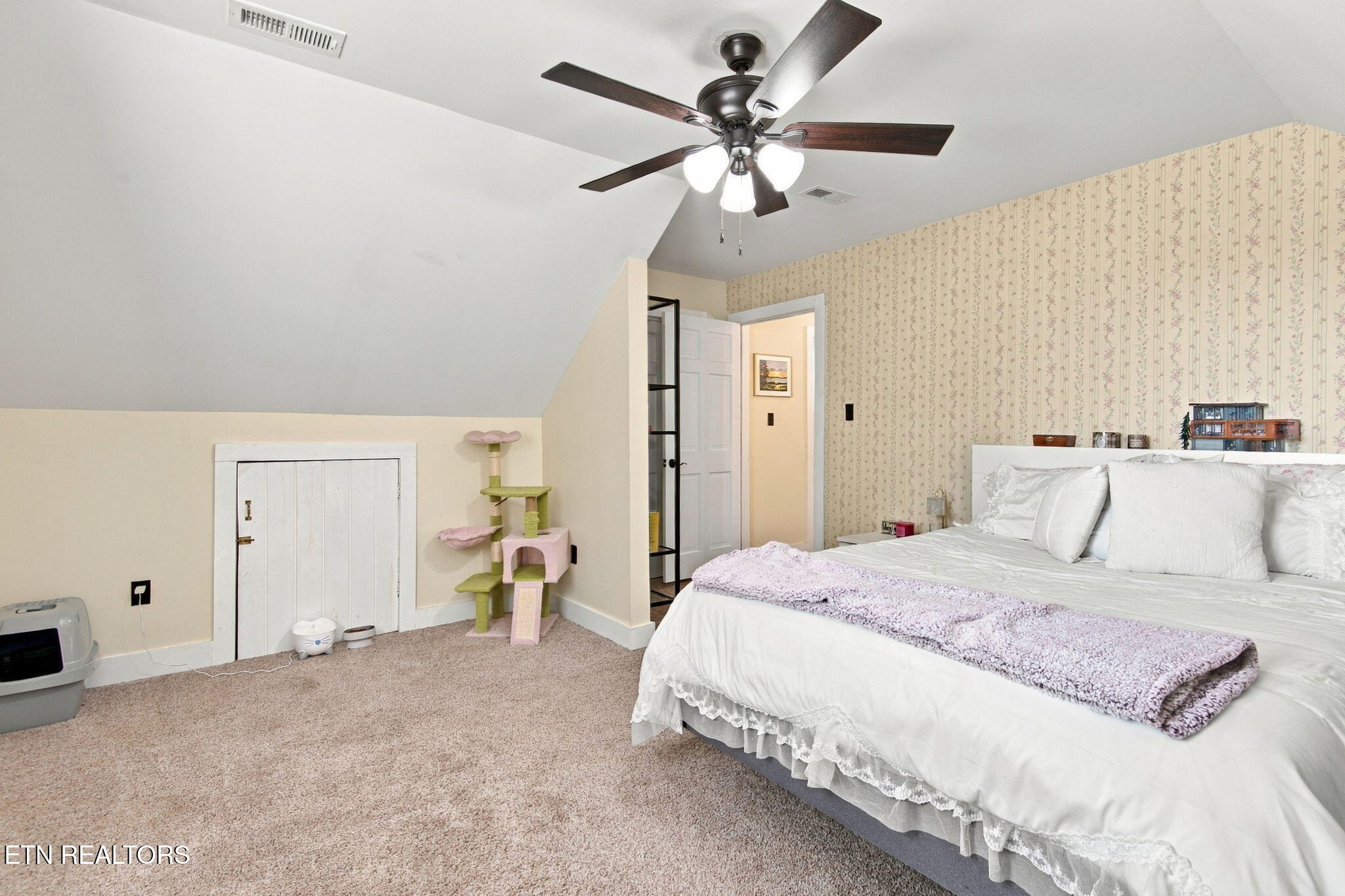 230 Johnson Lane Rocky Top TN 37769