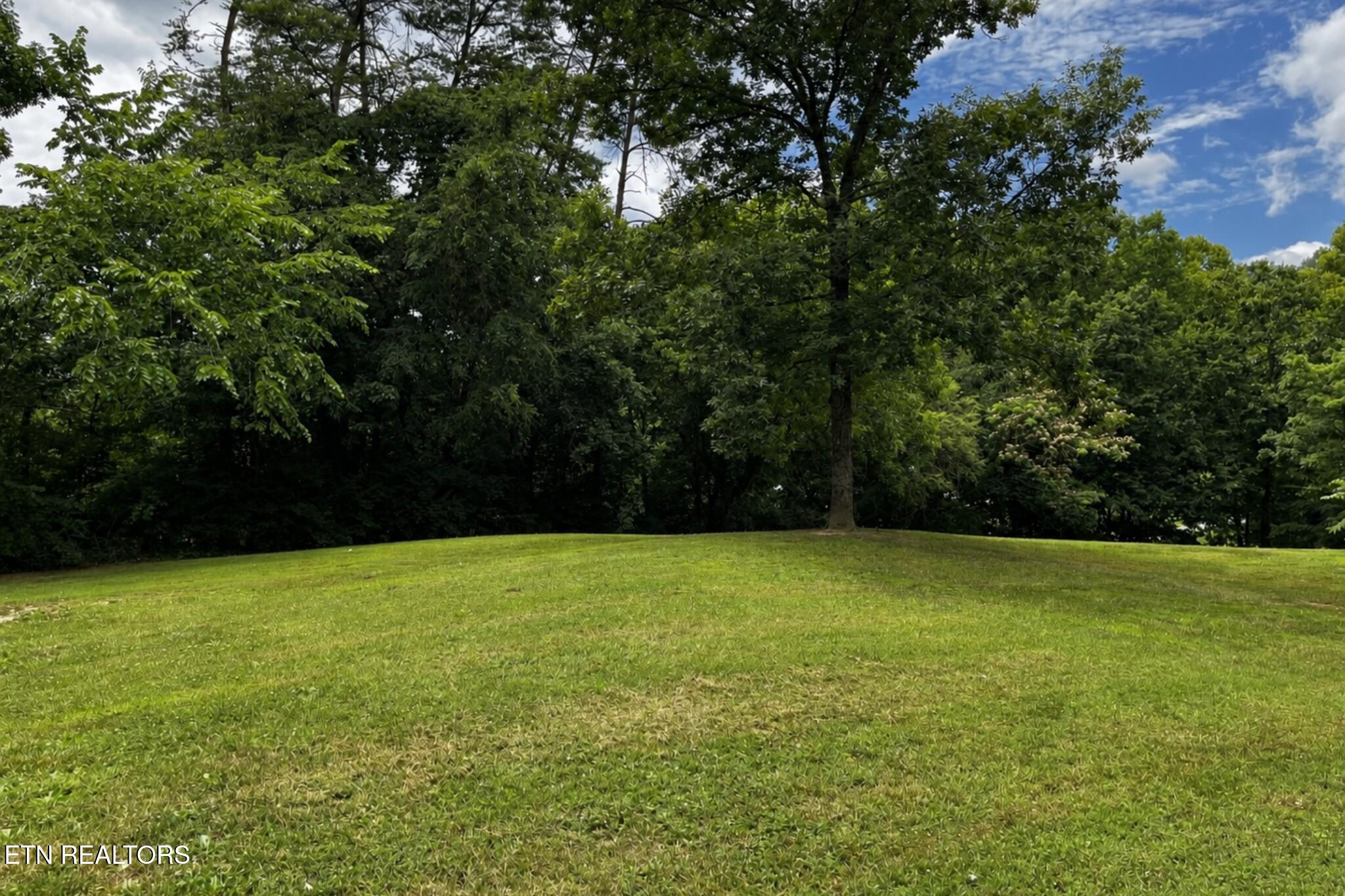 206 E Brushy Valley Drive Powell TN 37849