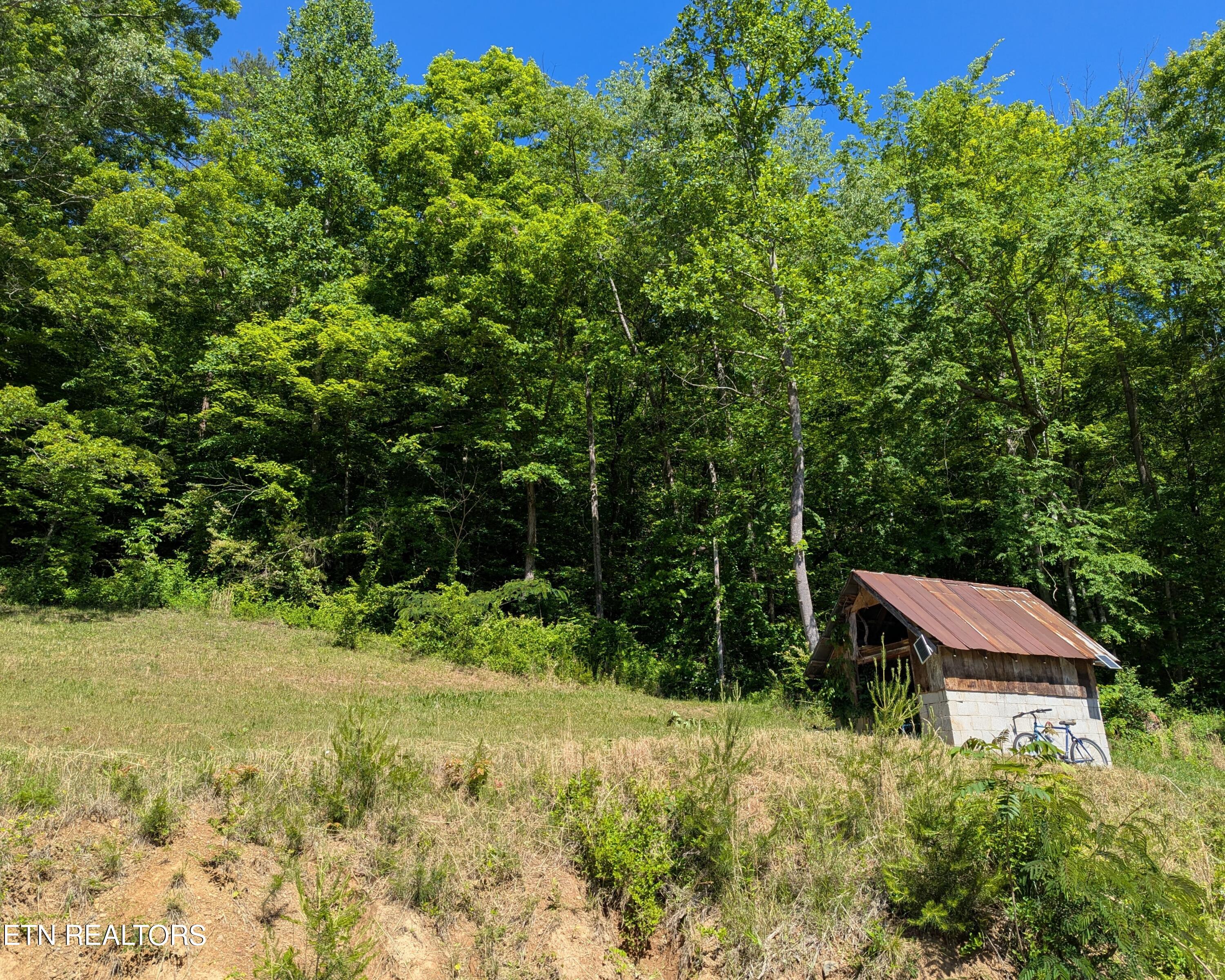 1209 E Bullrun Valley Drive Powell TN 37849